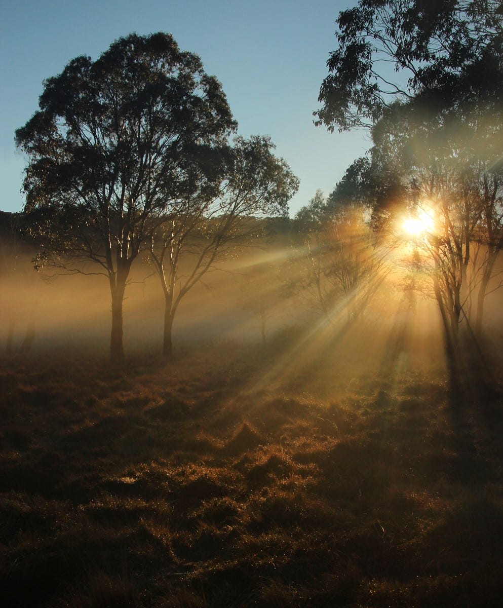 Light, Insignificant, and Tyndall effect.