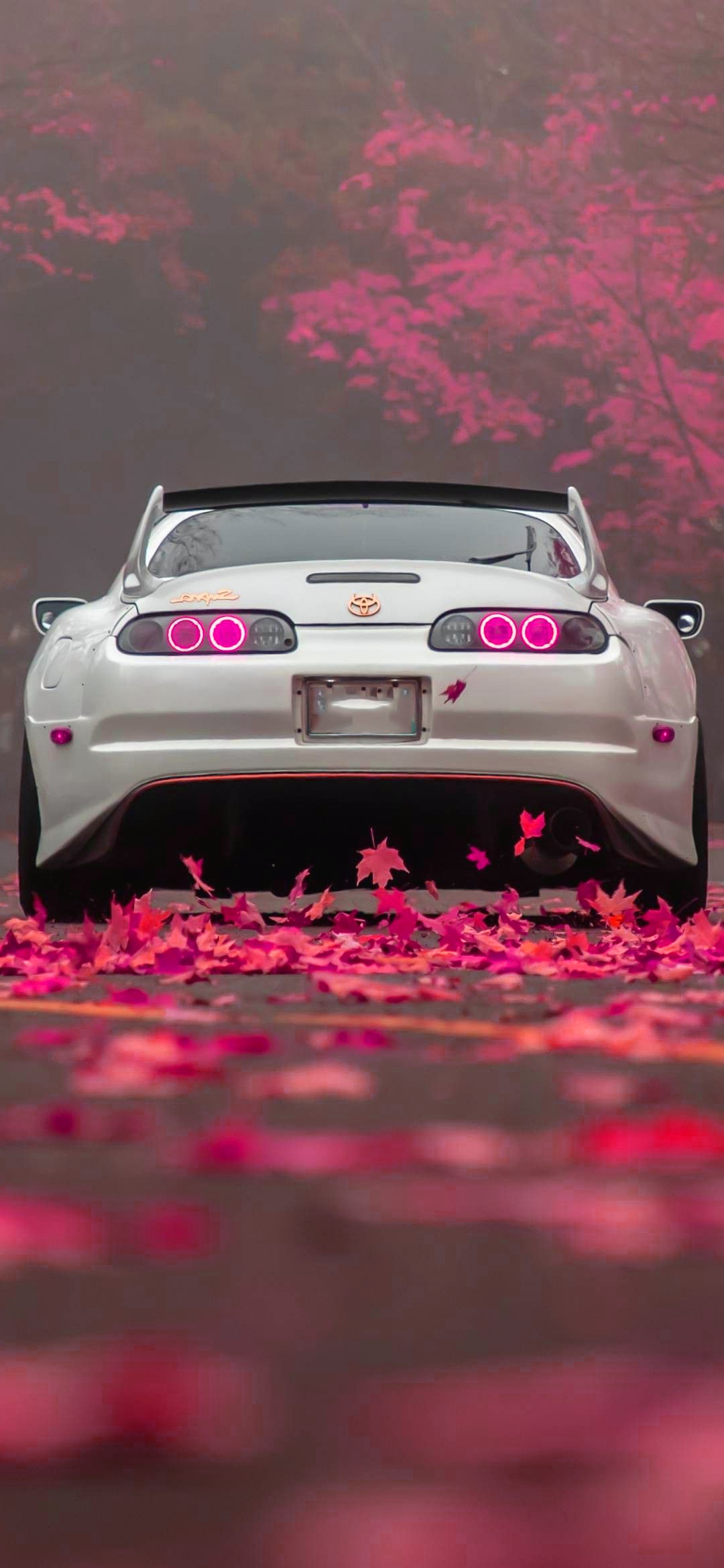 Toyota supra