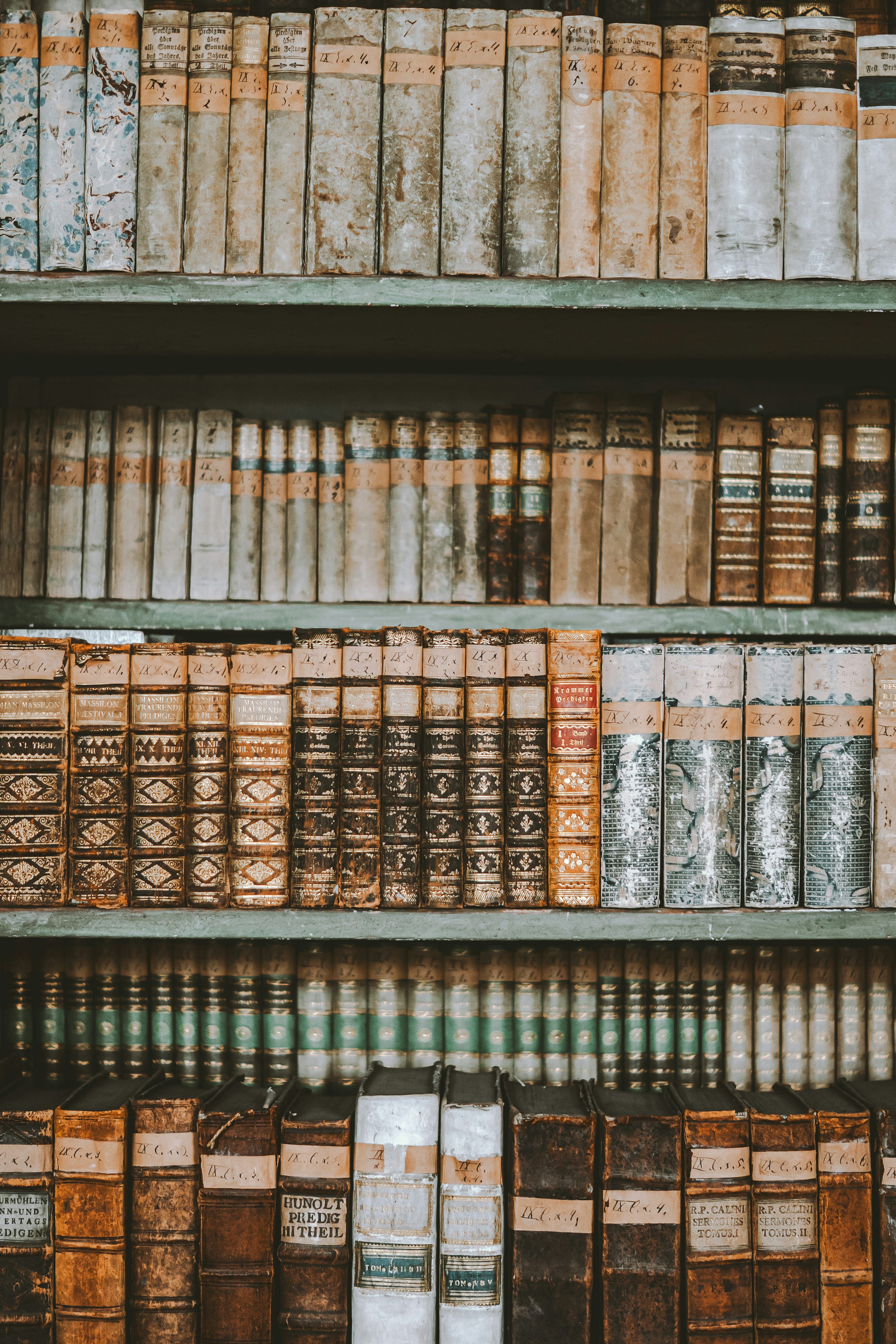 bookshelf filled with lots of old books