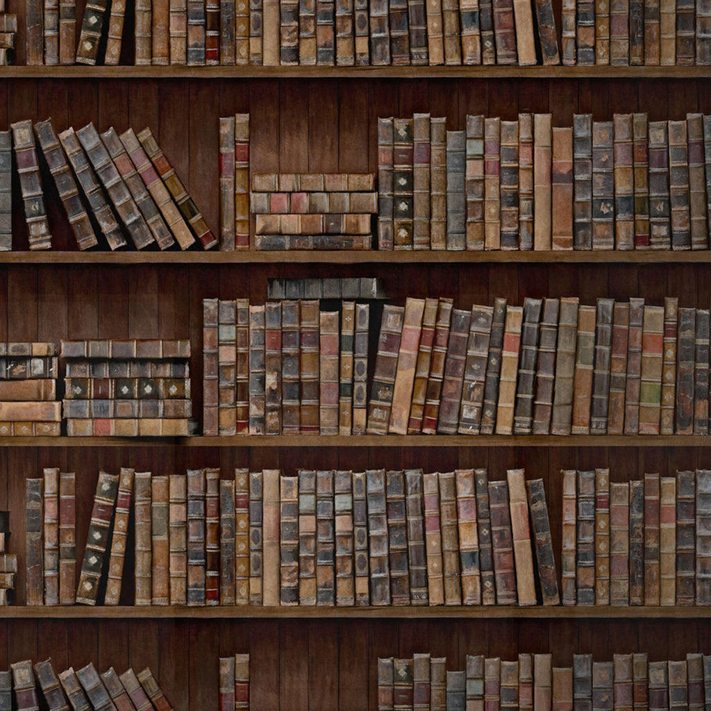 Book Shelves Wallpaper