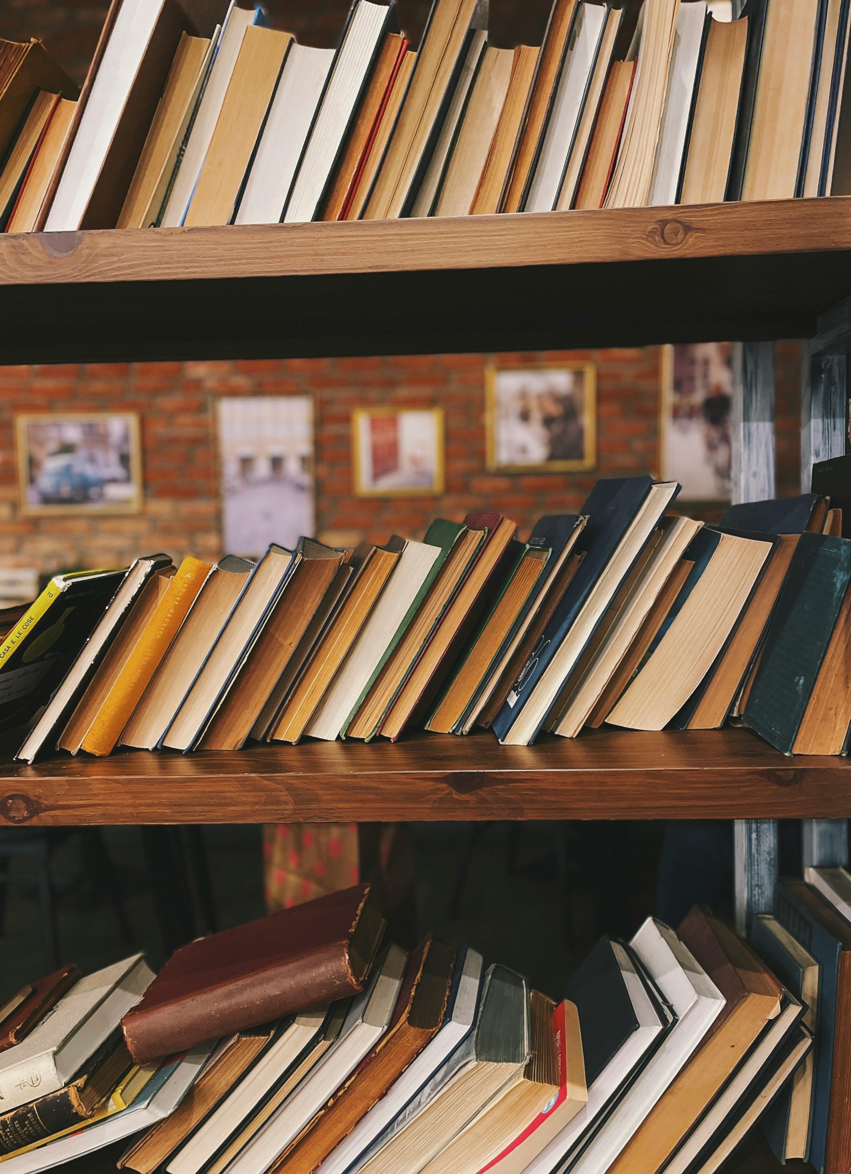 Books on Shelves · Free