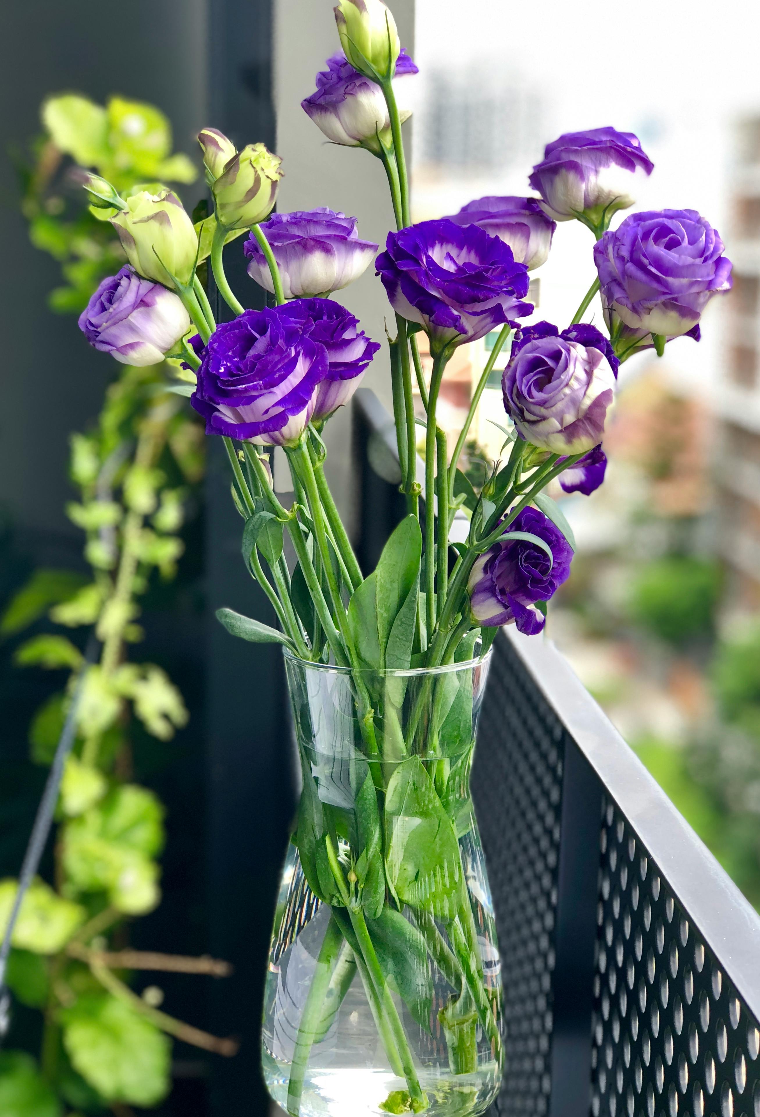 Flower Vase Photo, Download The BEST Free Flower Vase & HD Image
