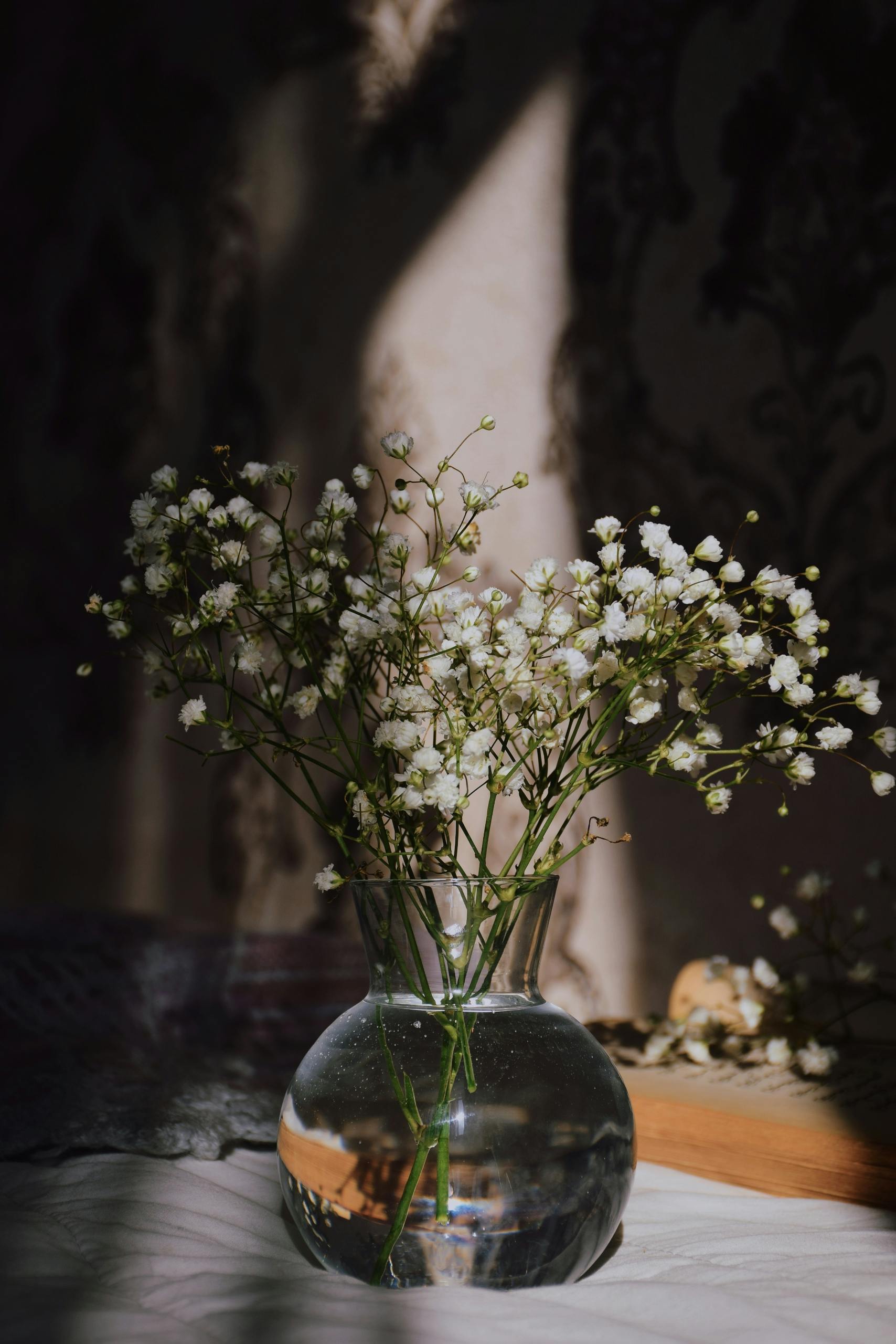 White Flowers in a Vase · Free
