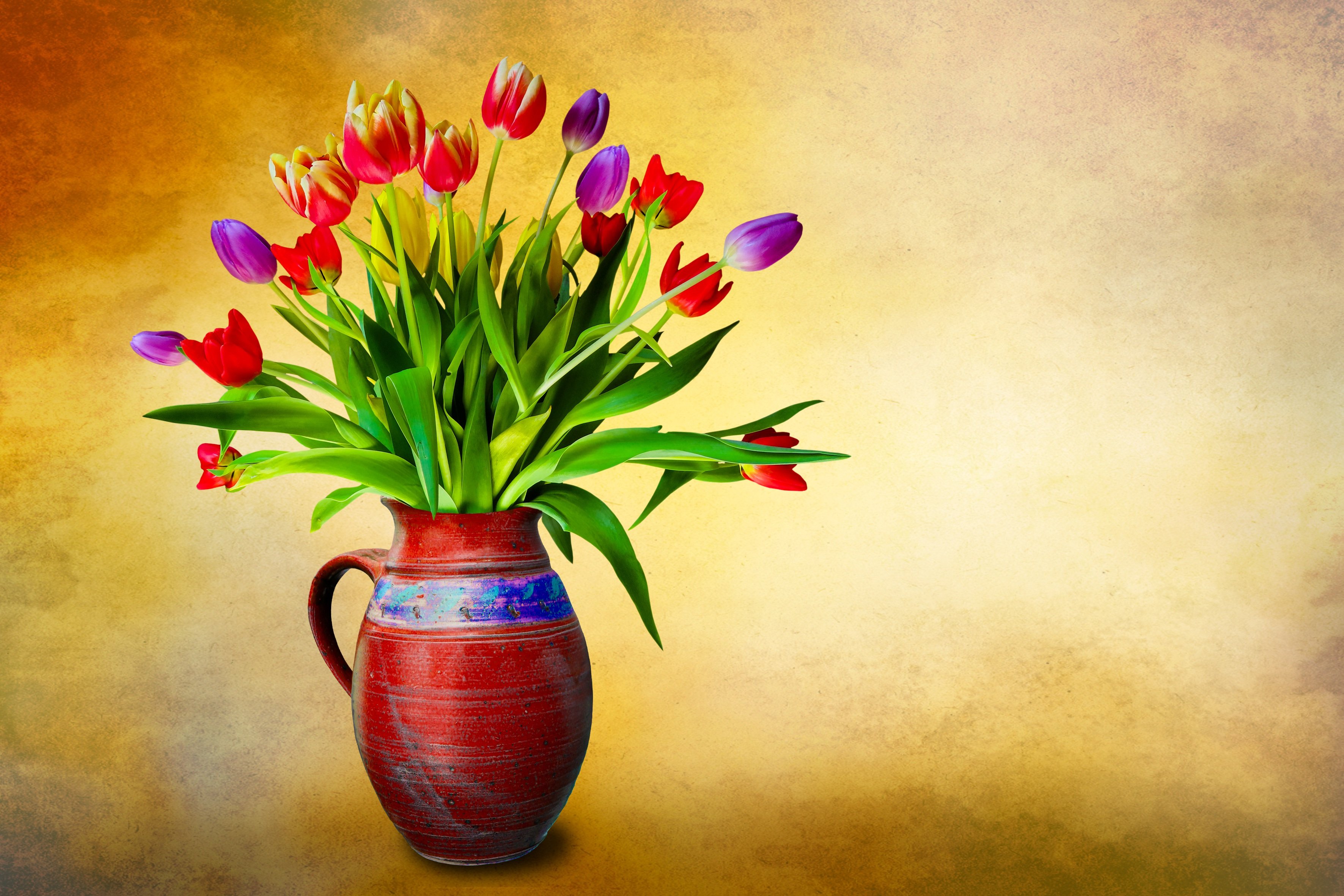 Flower vase Wallpaper 4K, Tulip flowers, Multicolor
