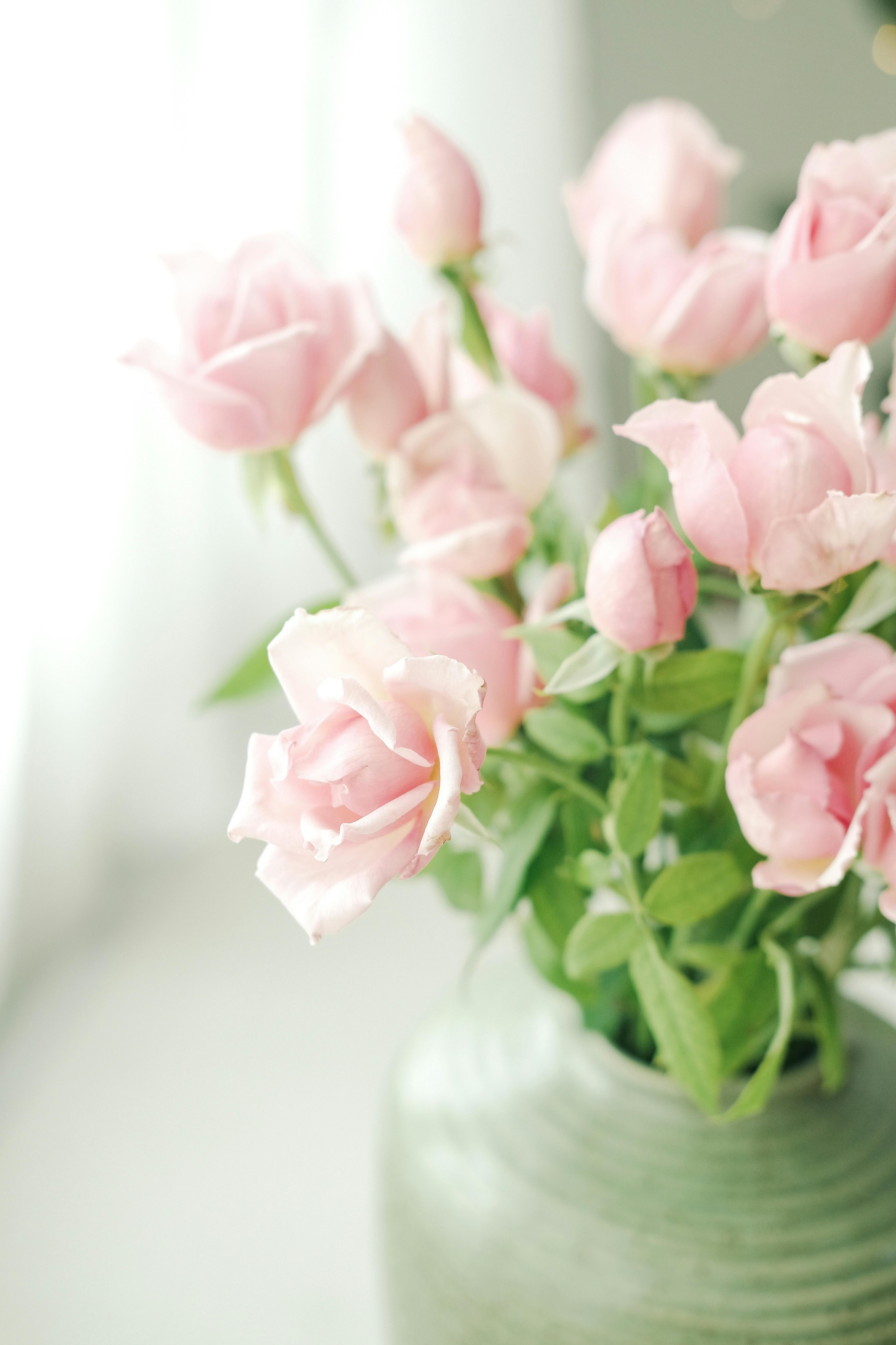 Bouquet of Roses in a Vase · Free
