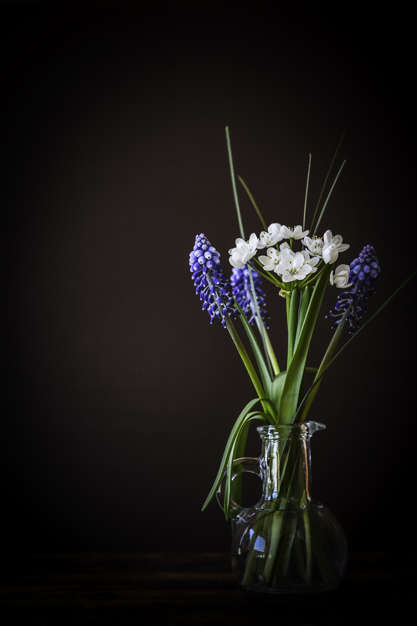 Royalty Free Photo: Rule Of Thirds Photography Of White And Blue Flowers