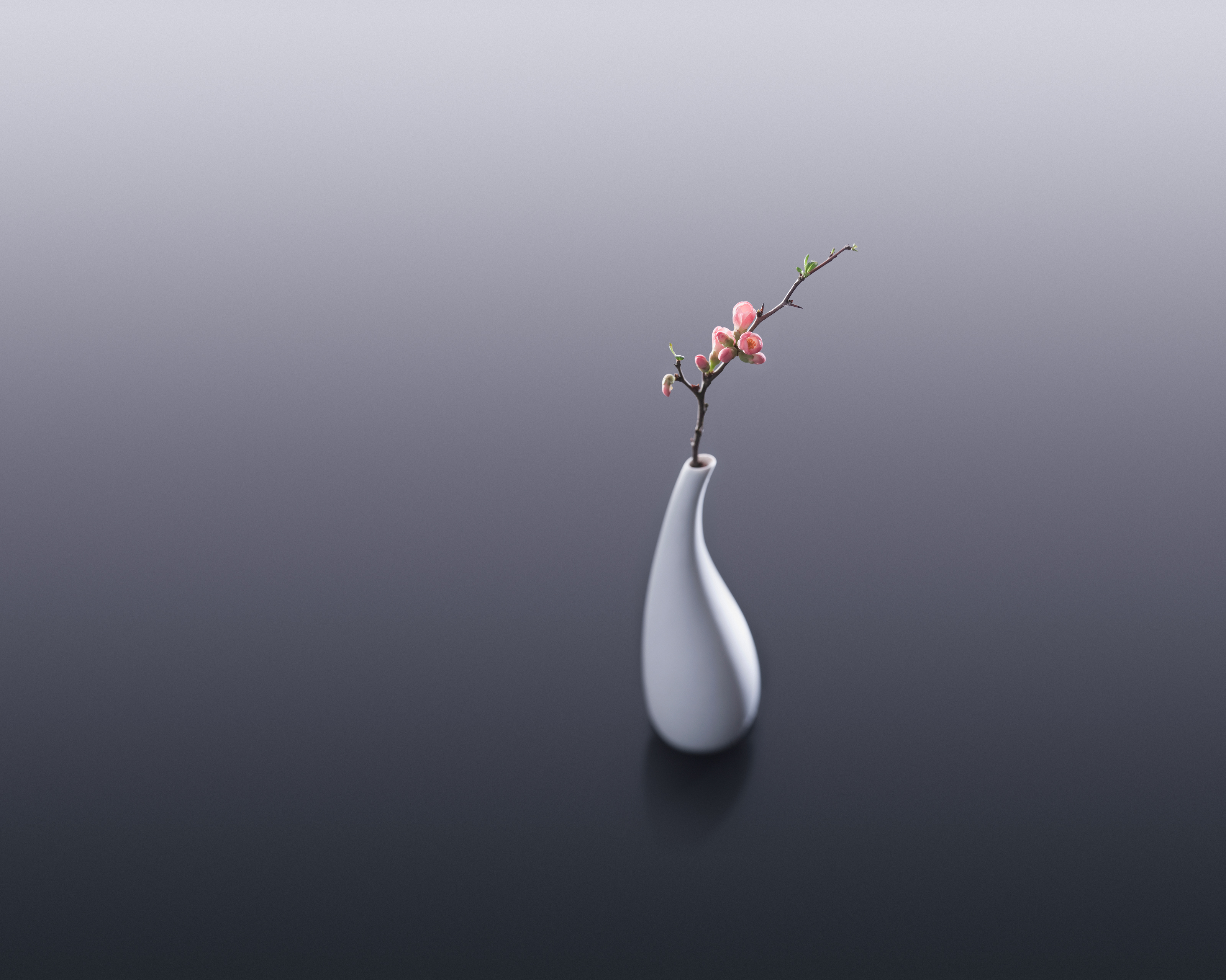 Flower vase Wallpaper 4K, Flower bouquet, Monochrome, Stock