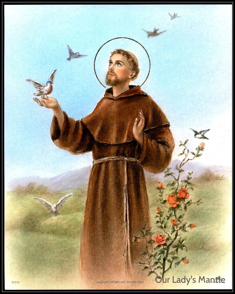 Saint Francis of Assisi