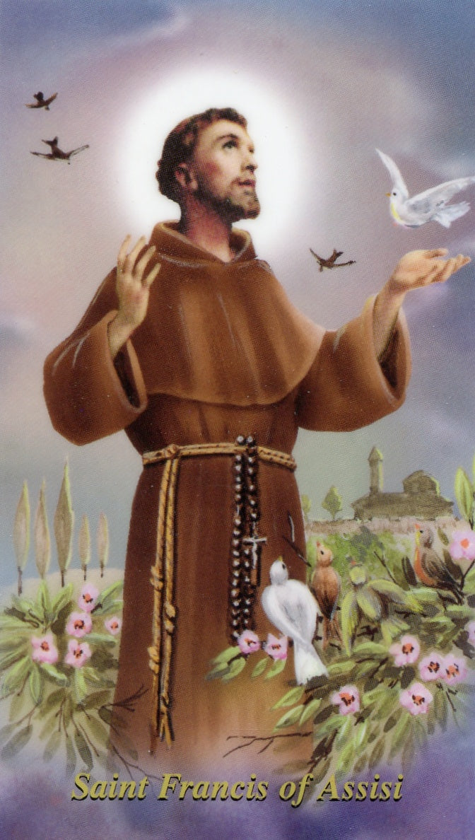 ST. FRANCIS OF ASSISI- LAMINATED HOLY CARDS- QUANTITY 25 CARDS