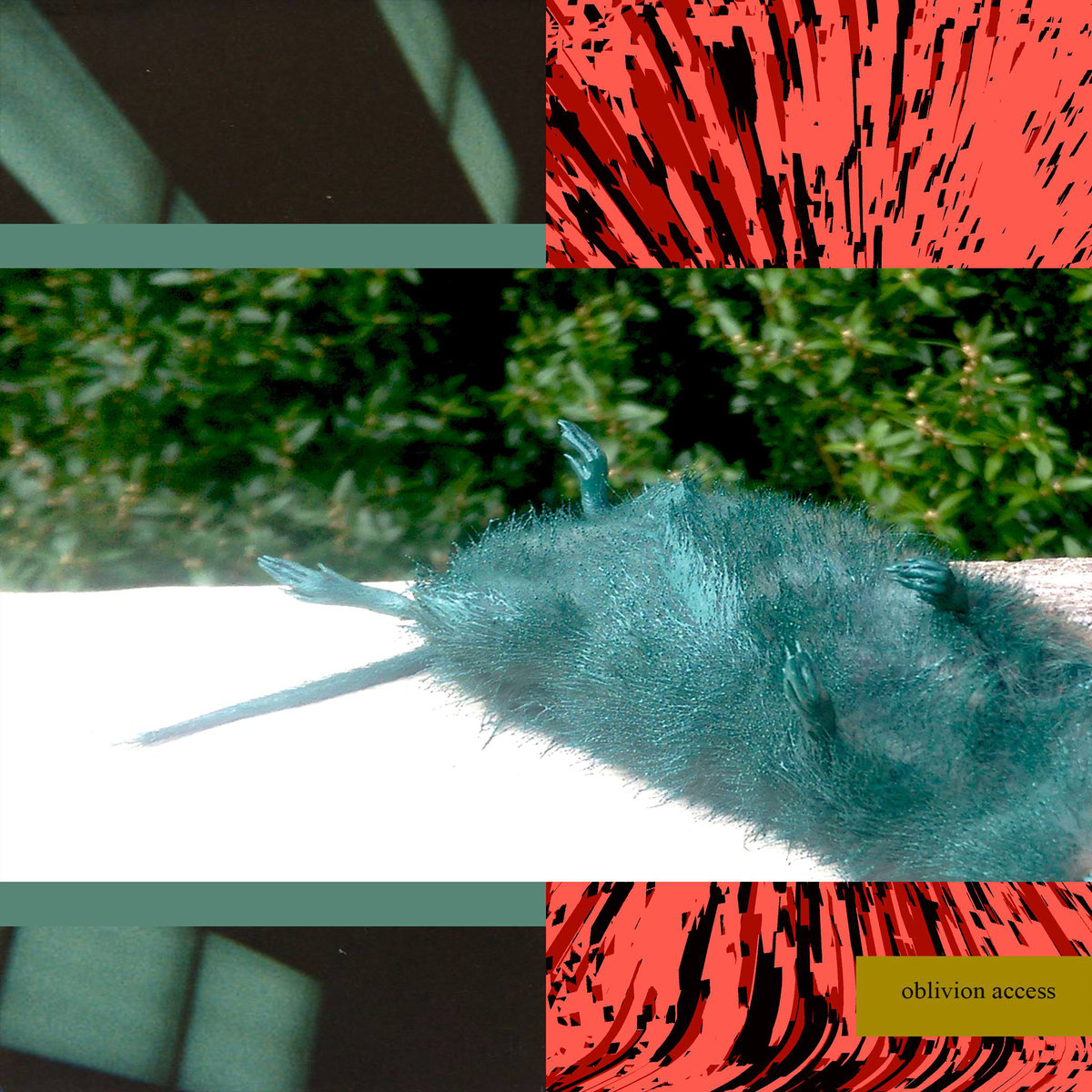 Lil Ugly Mane Access. Music Review. Tiny Mix Tapes