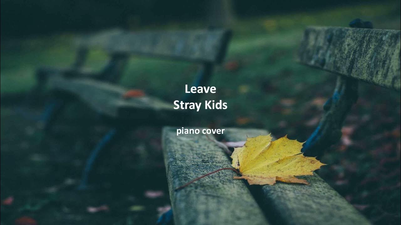 Leave Kids / 스트레이키즈 Piano cover
