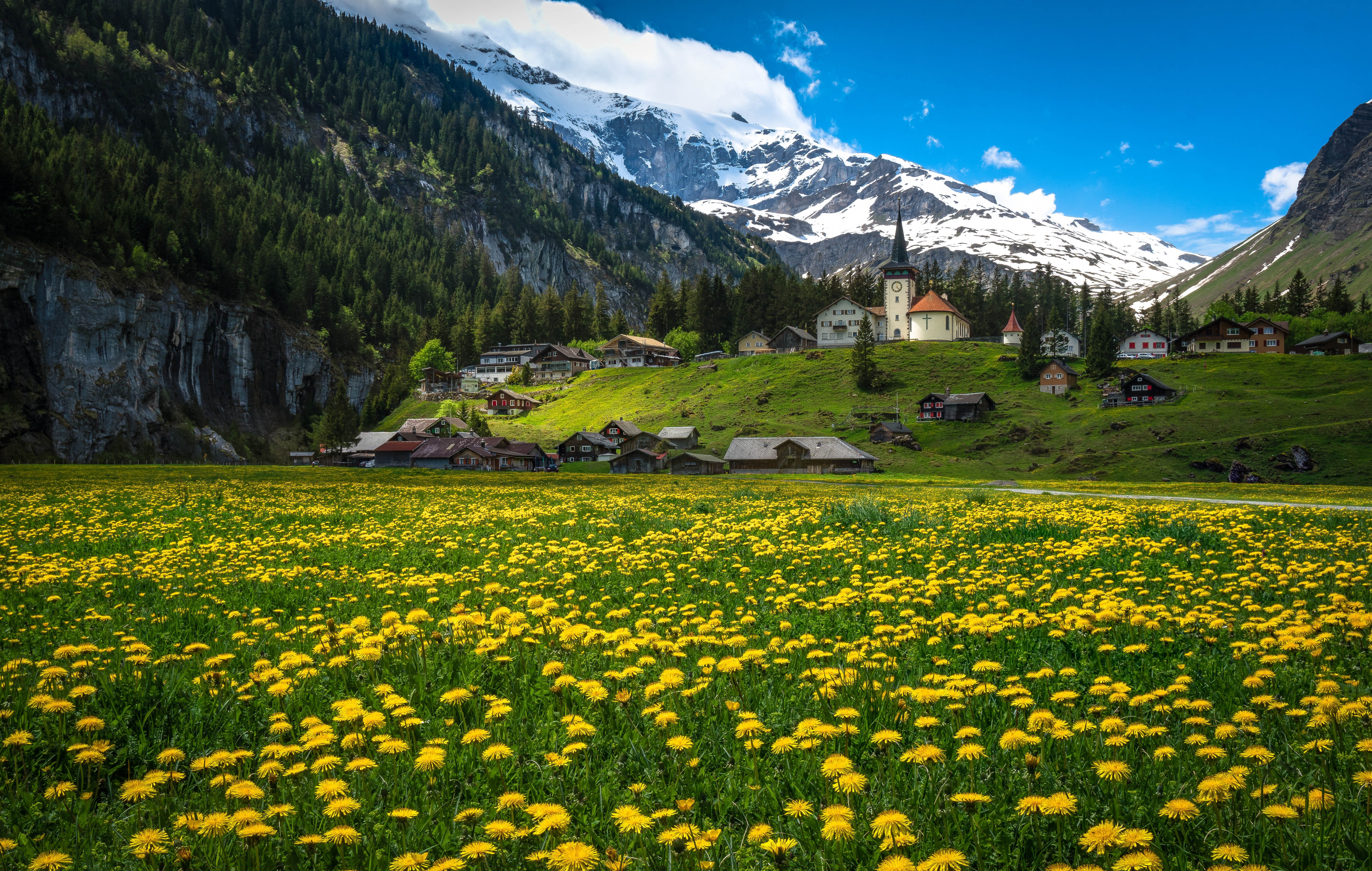 Wallpaper flowers, mountains, dandelion, home, Switzerland, village, Alps, meadow for mobile and desktop, section пейзажи, resolution 5473x3475