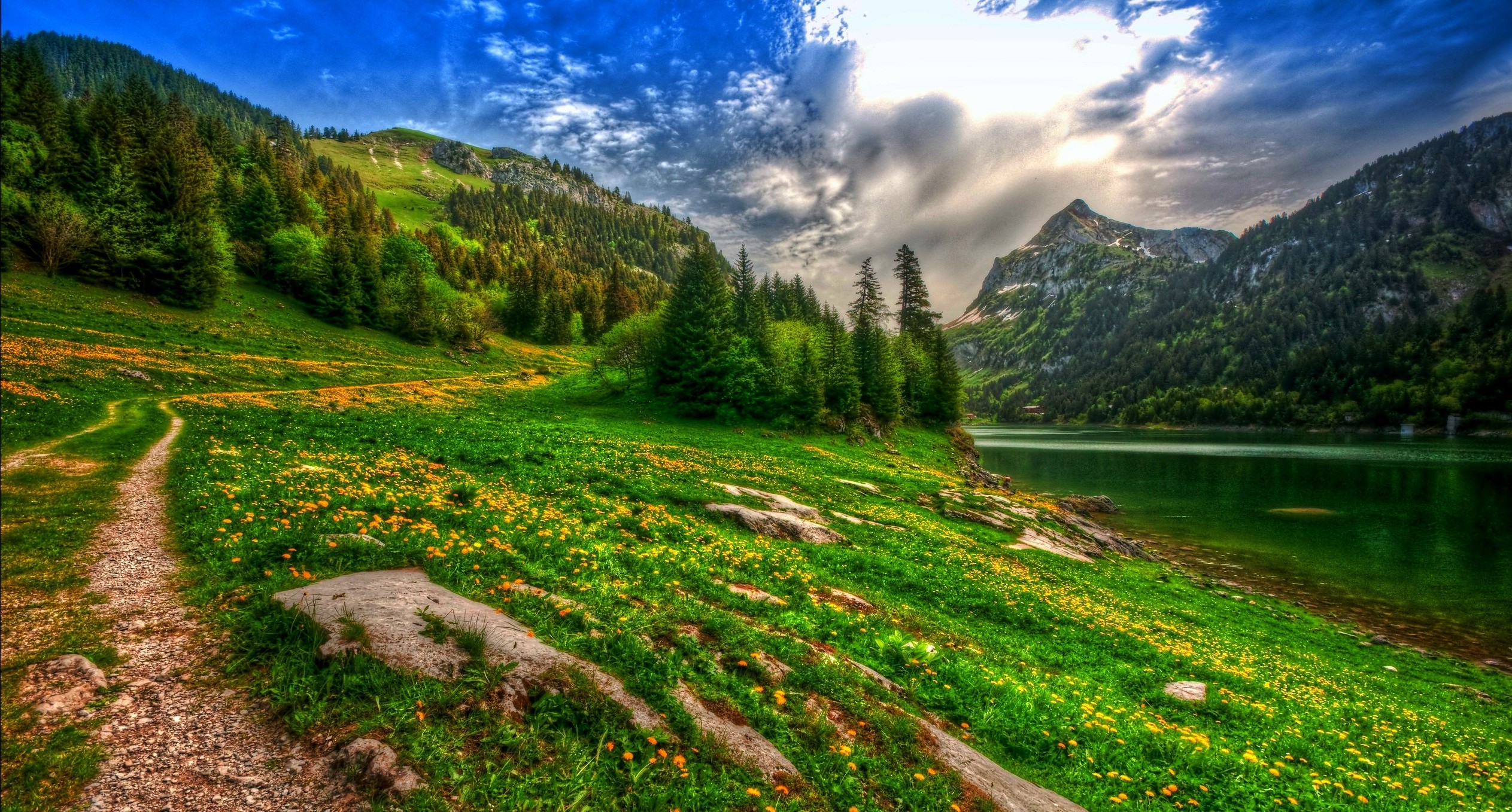 nature, Landscape, Lake, Mountain, Forest, Wildflowers, Spring, Pine Trees, Path, Switzerland, HDR Wallpaper HD / Desktop and Mobile Background