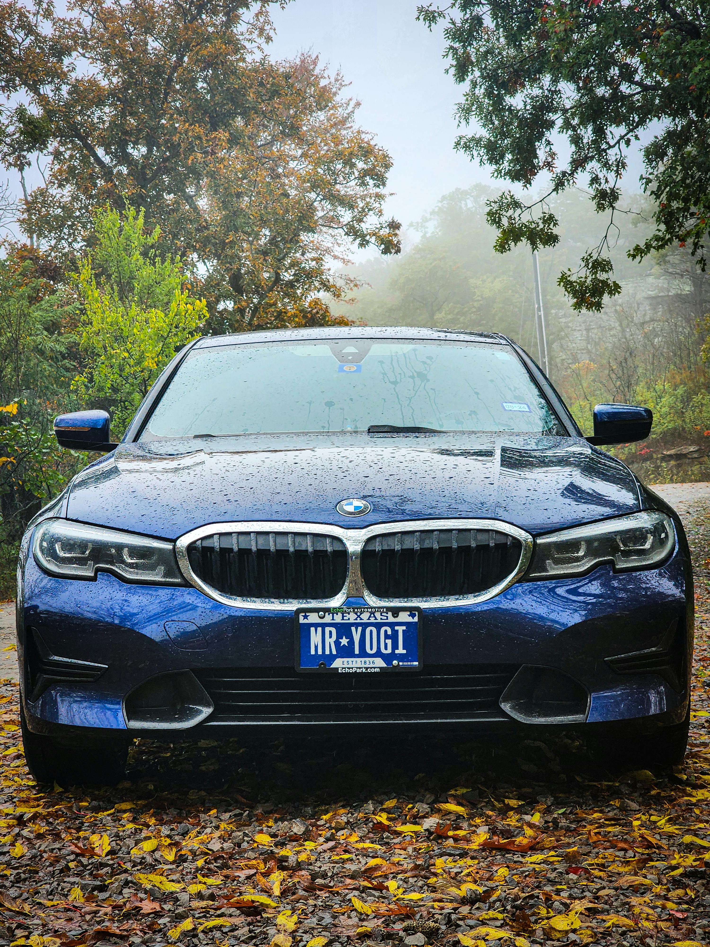 BMW 3 Series on a Rainy Autumn Day · Free