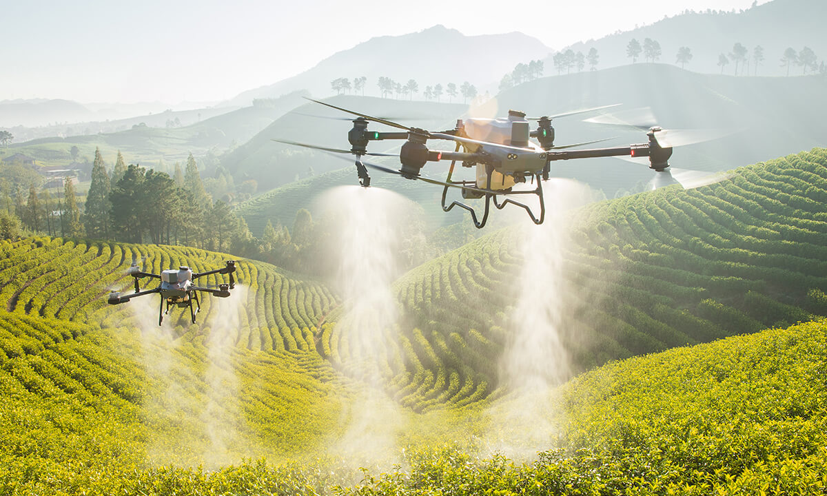 How Drones Are Used to Improve Agriculture