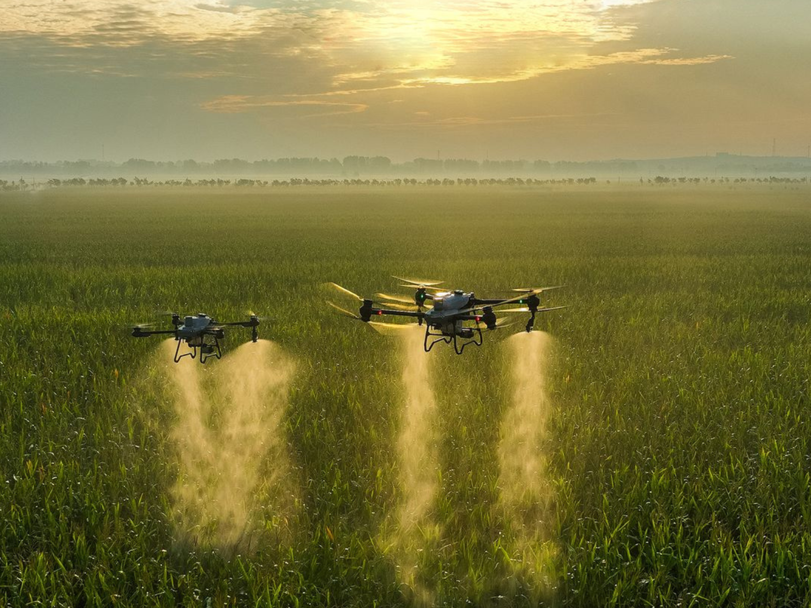 Application of Drone in Agriculture Education and Research International