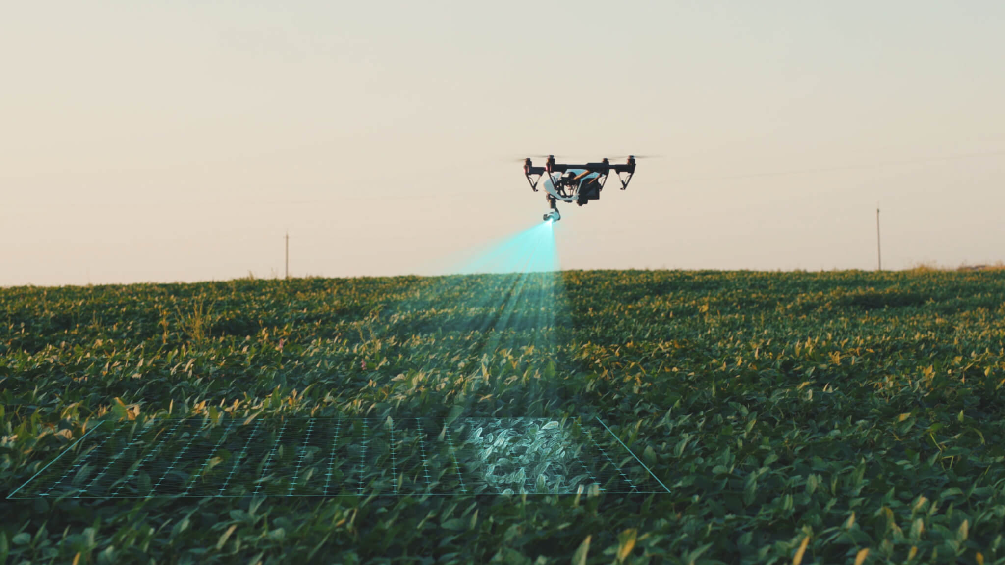 Increasing Farming Productivity Using Agricultural Drone Surveying Equipment from Microdrones