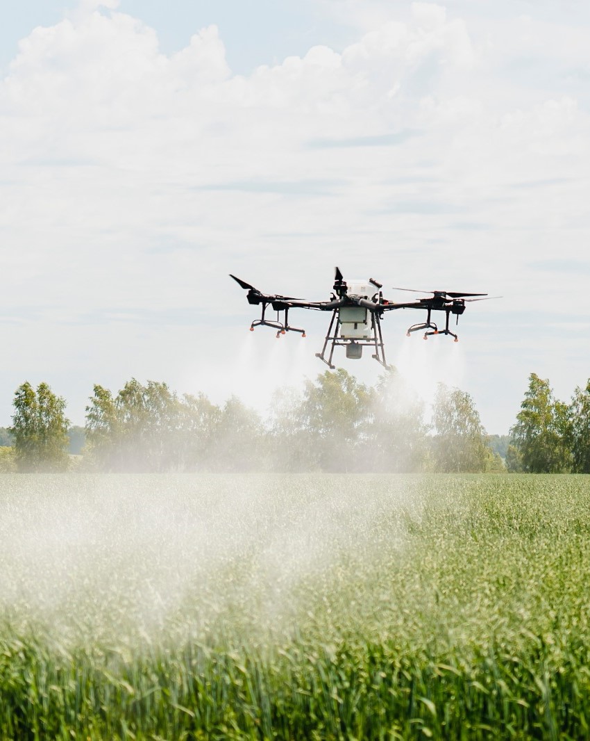 3D Illustration Rendering Of Agriculture Drone Spraying Fertilizer On Sugar Cane Farm Background, Smart Farming, Irrigation System, Agriculture Technology Background Image And Wallpaper for Free Download