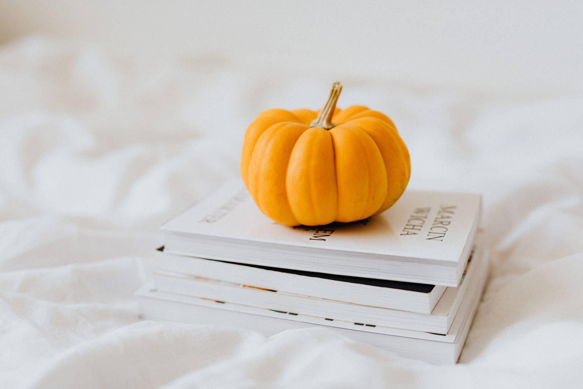 Download Pumpkin Aesthetic Book Desktop Wallpaper