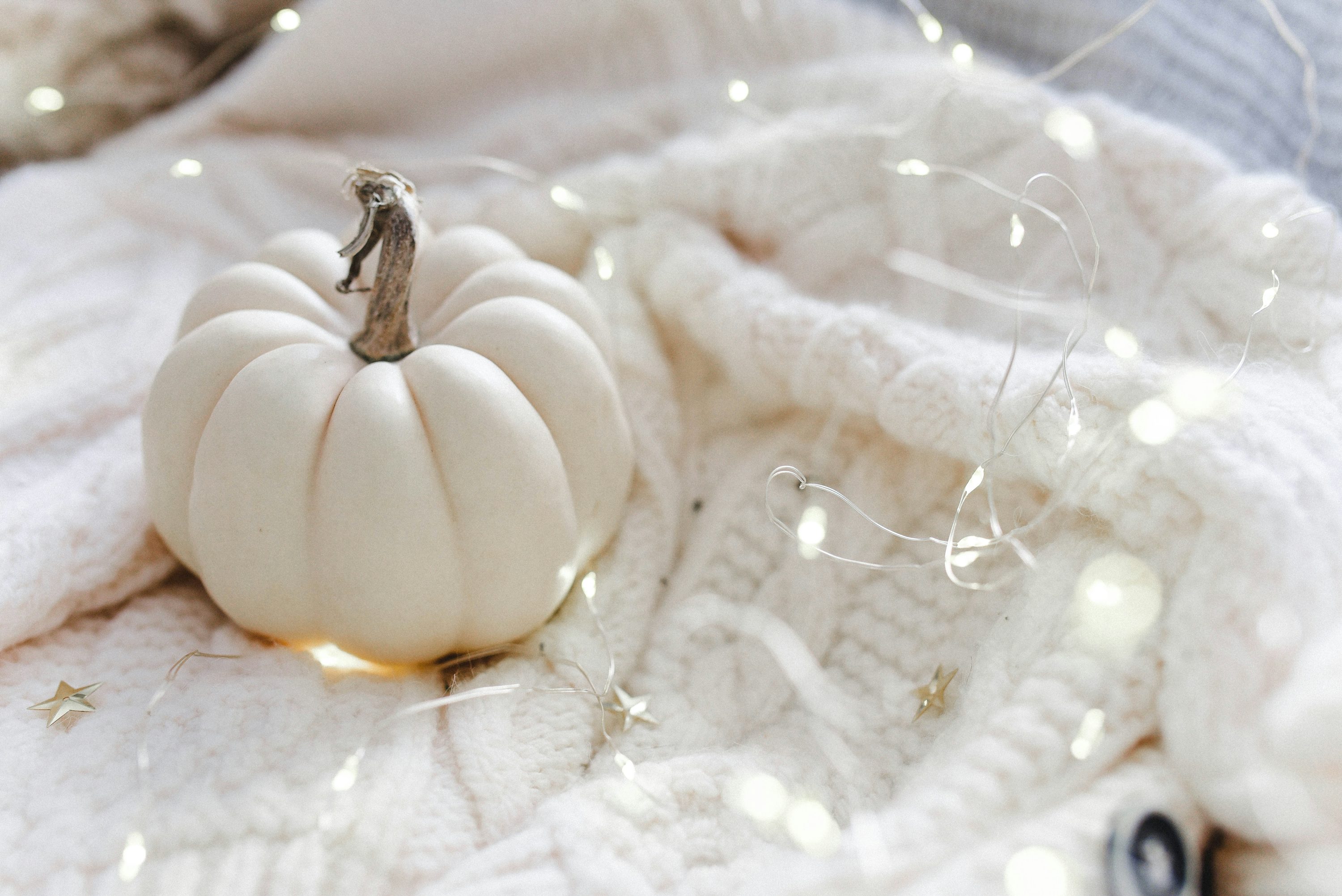 White Pumpkin Picture. Download Free Image
