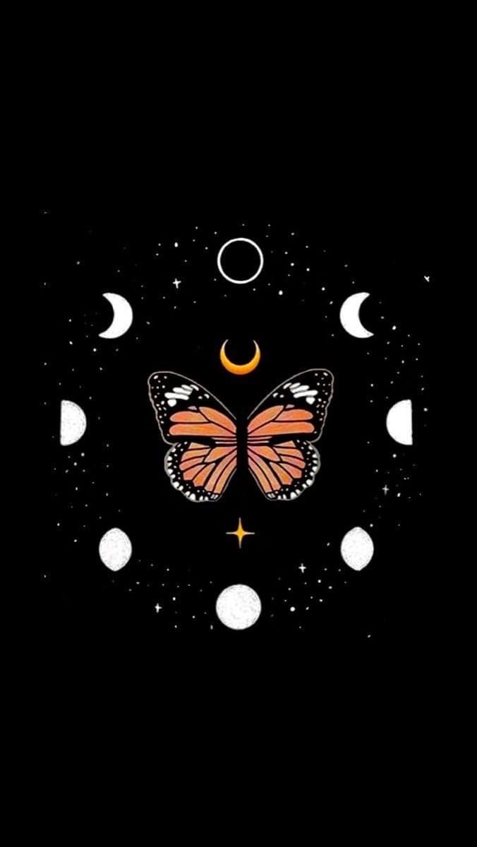 Orange Butterfly Wallpaper