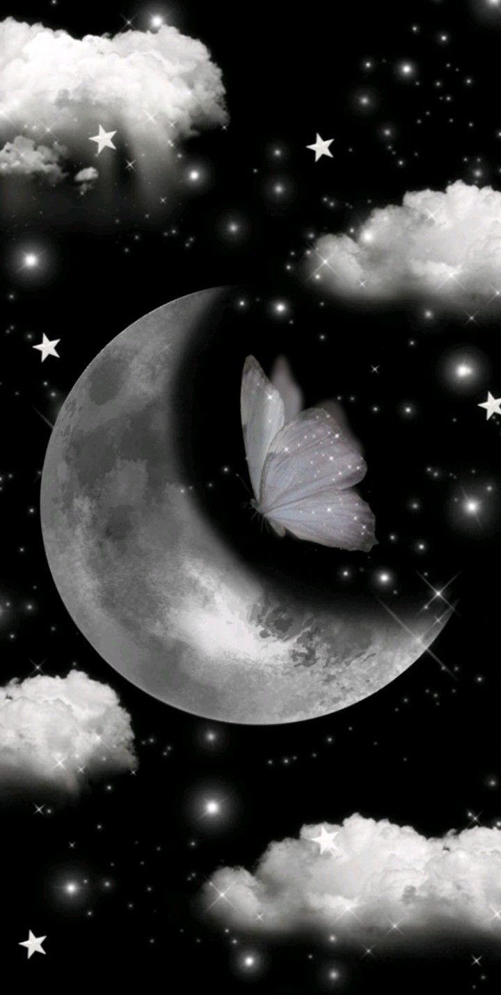 White Butterfly Flying Over the Moon