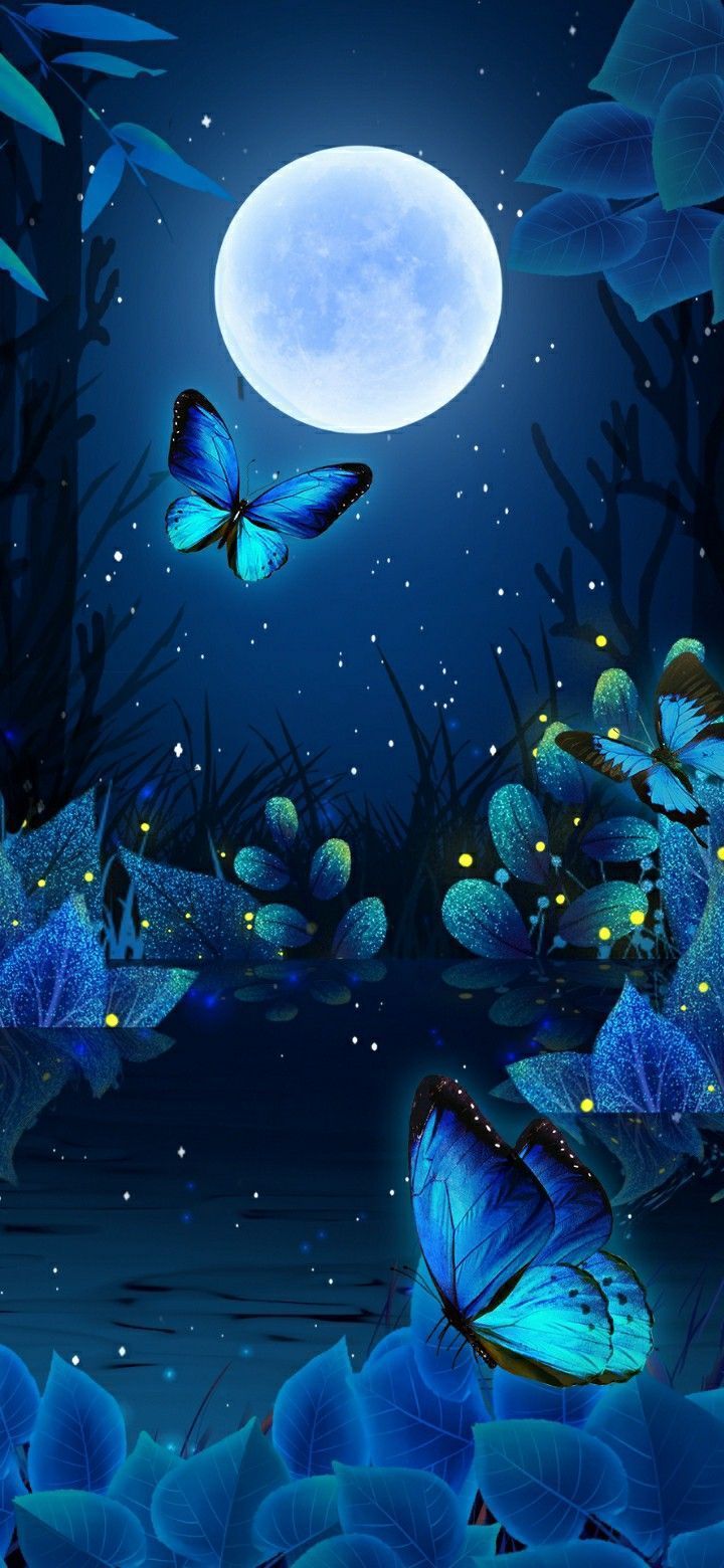 Butterfly Wallpaper