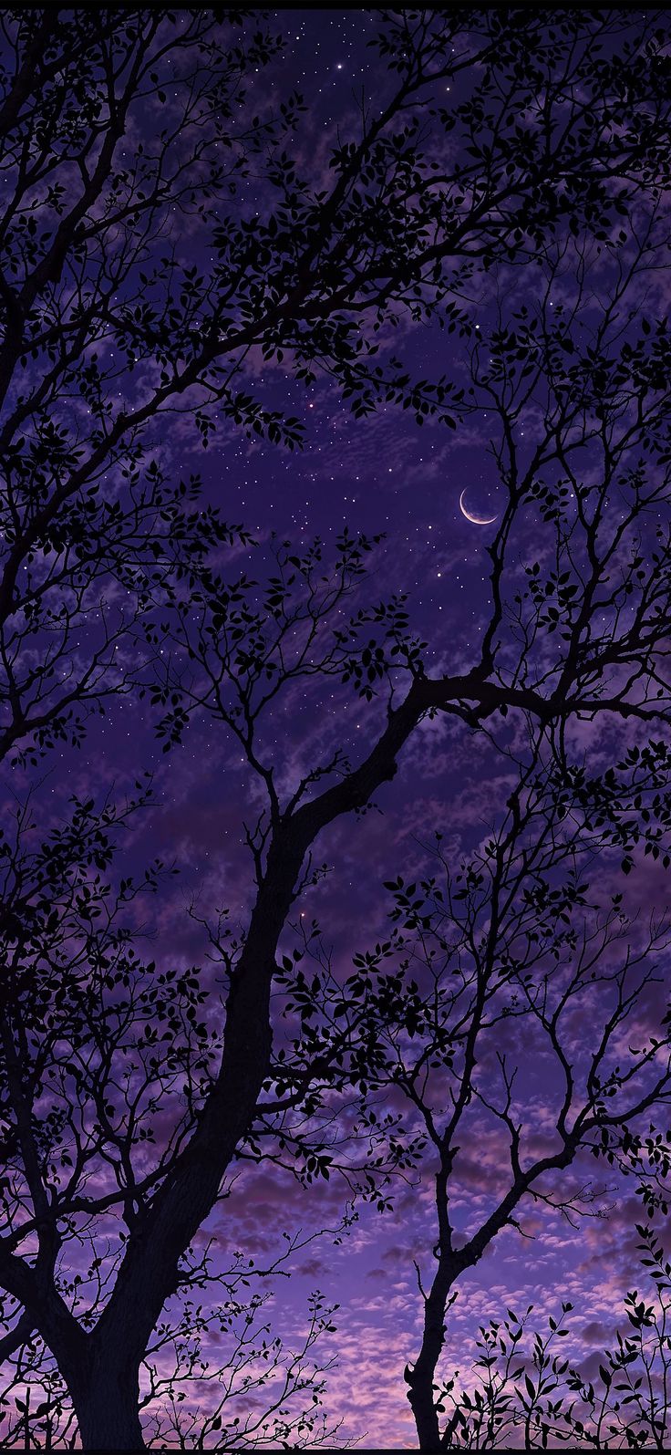 Fond ecran. Purple wallpaper phone, Purple wallpaper, Scenery wallpaper