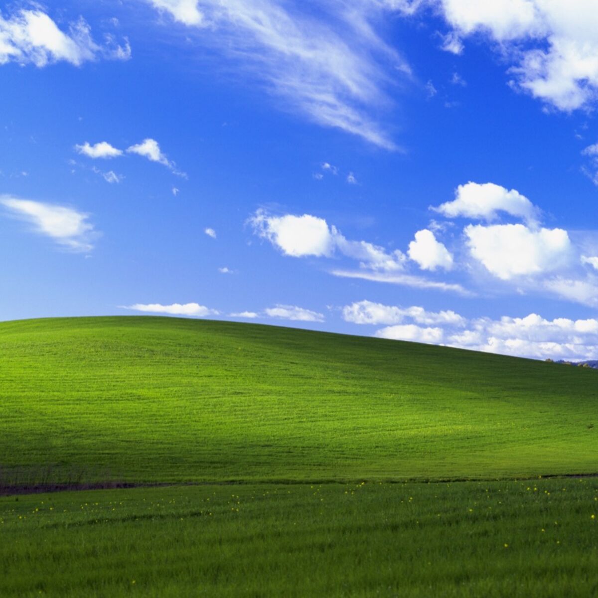 The Story behind the Famous Windows XP Desktop Background