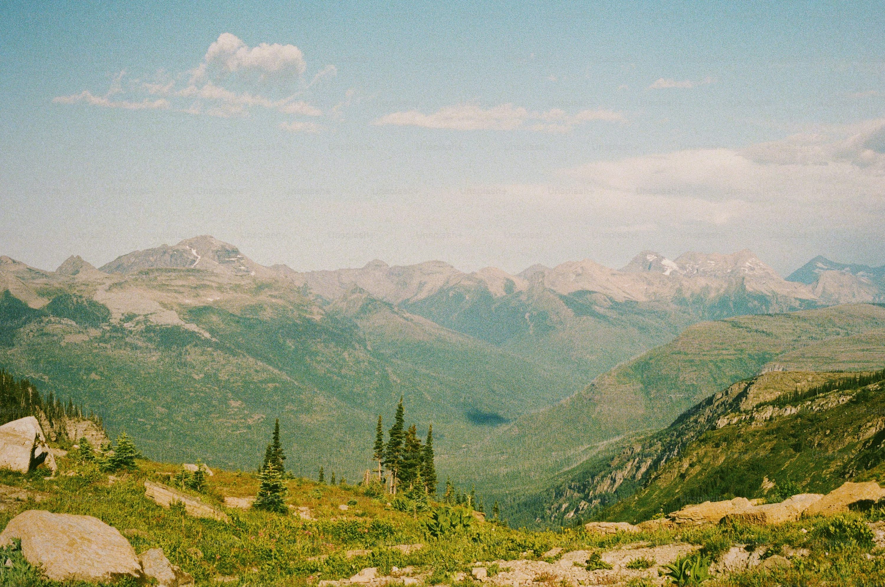 Film Photography Picture. Download Free Image