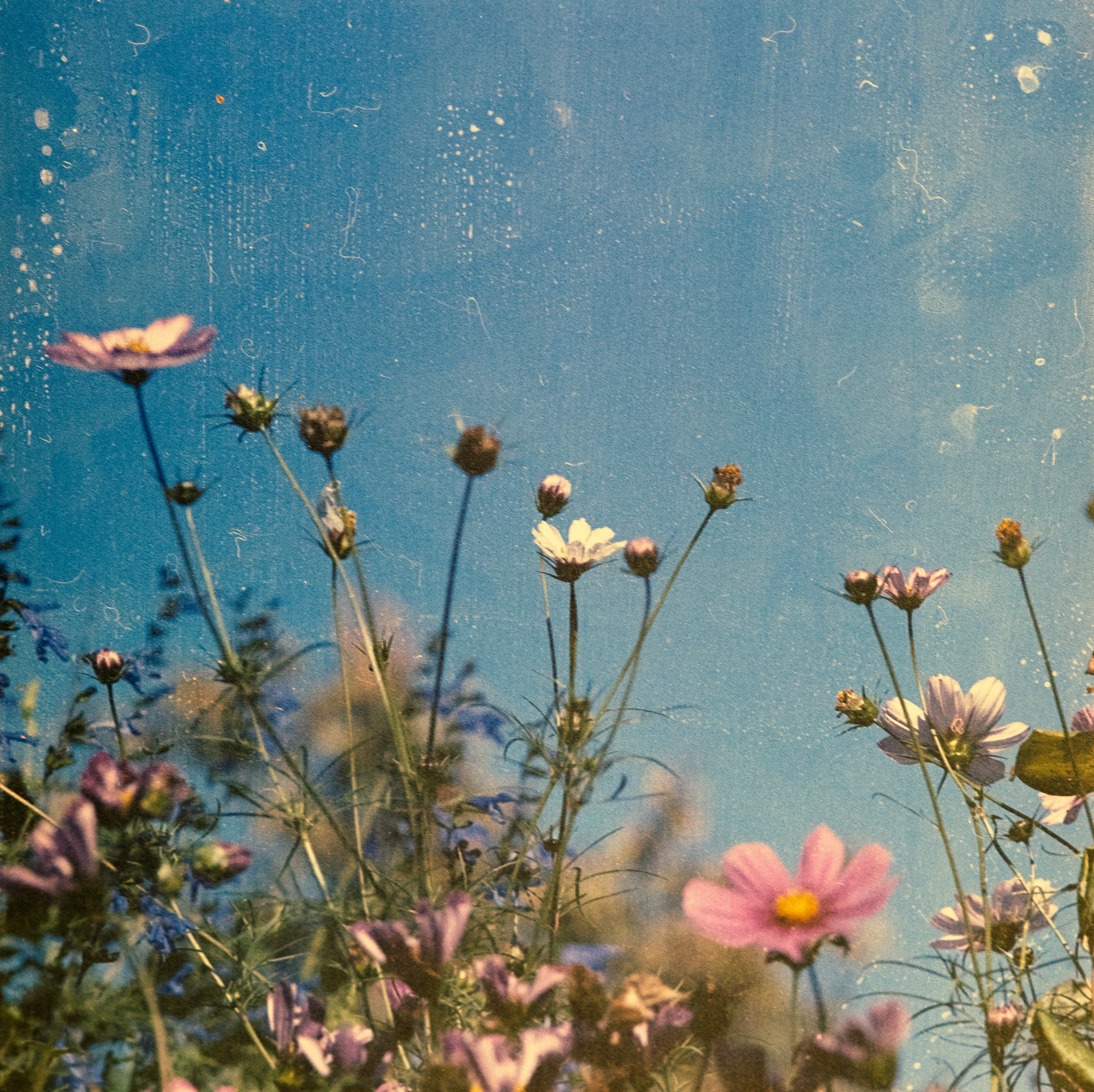 Film Photography Picture. Download Free Image
