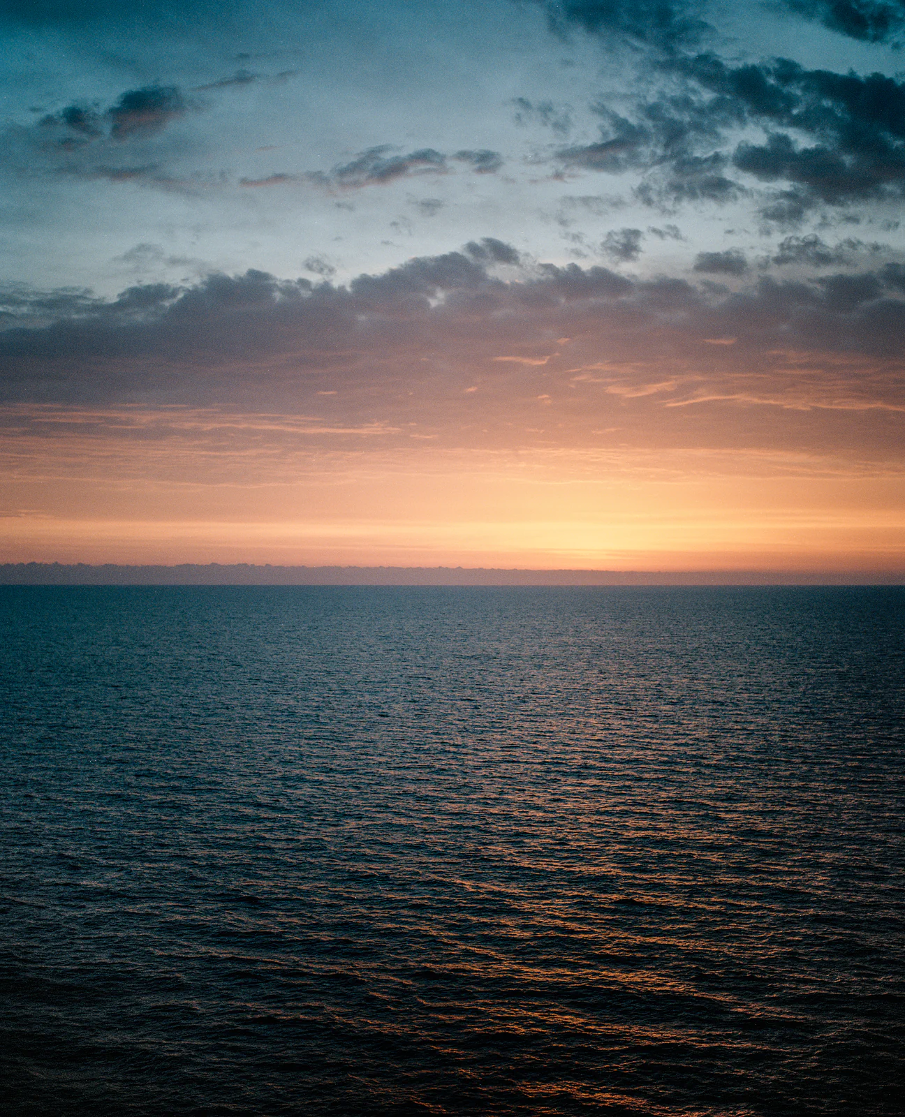The resurrection of film photography: hype or a real value? Michelazzi Photography