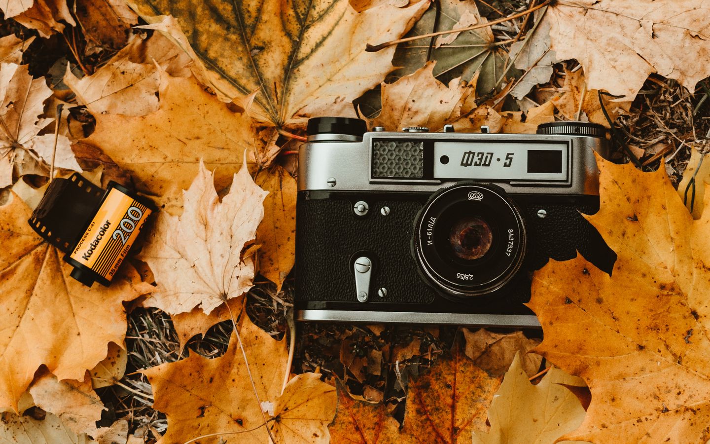 Download wallpaper 1440x900 camera, autumn, foliage, retro, vintage, photographic film widescreen 16:10 HD background