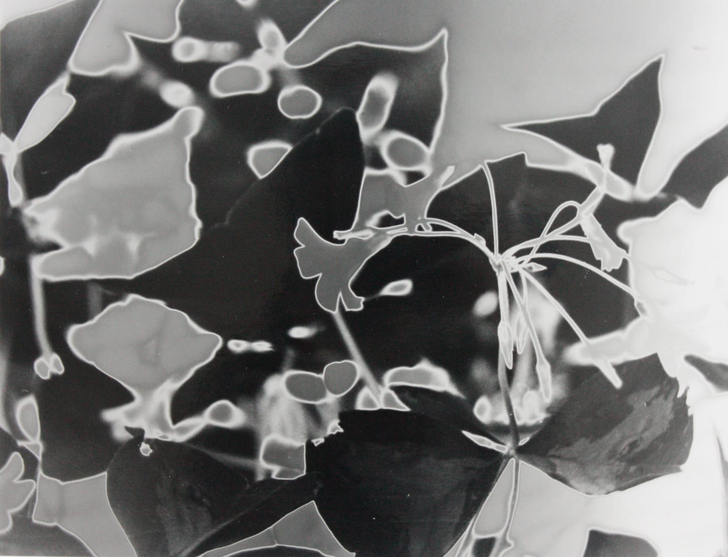 Abstract. Film