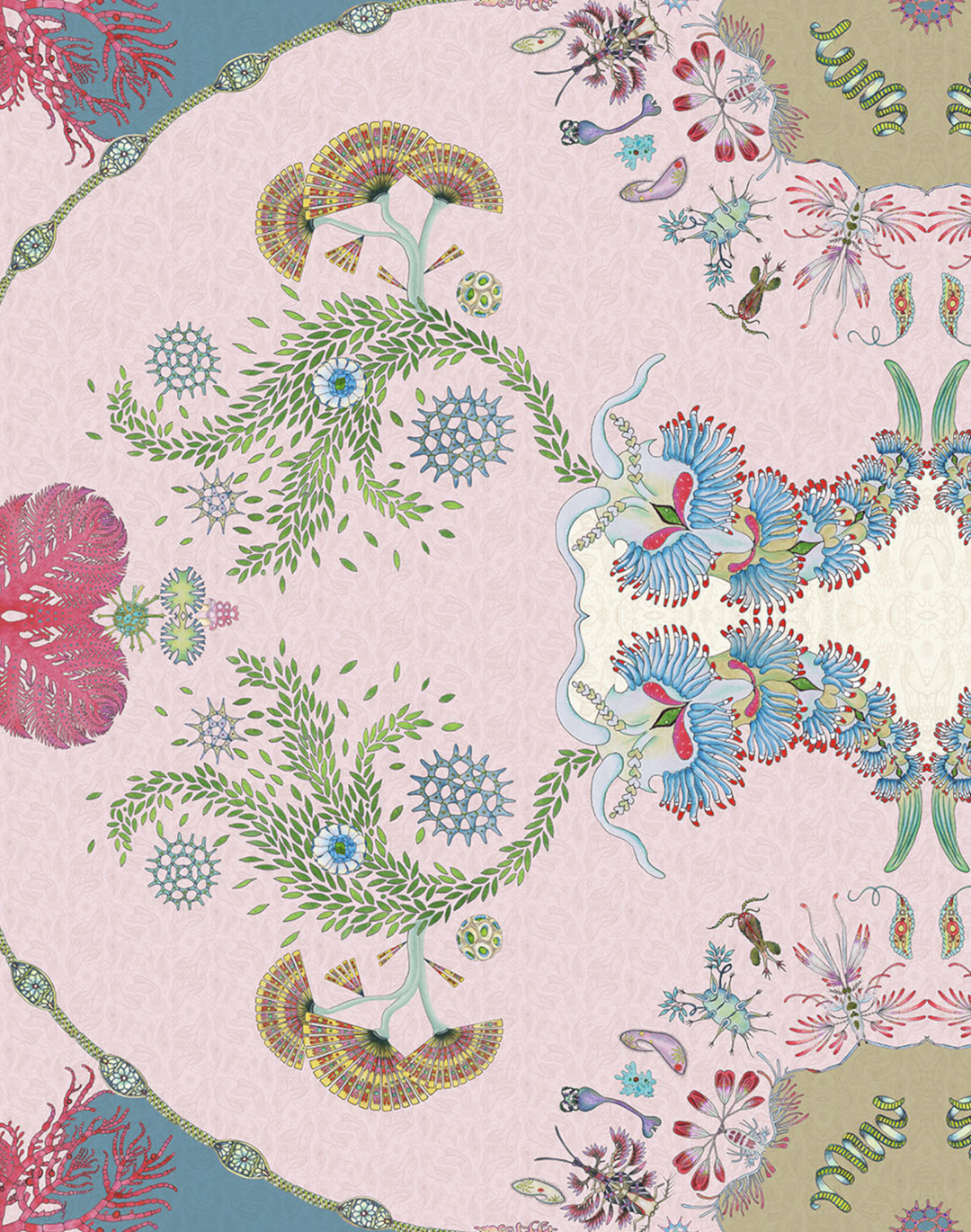 Paisley Paramecium Medium Scale, Pale Pink