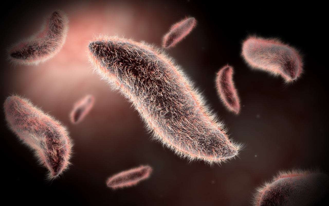Conceptual image of paramecium Poster Print # VARPSTSTK700417H