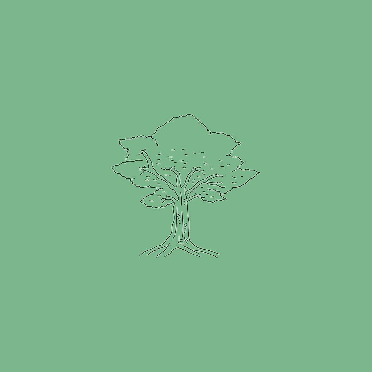 Download Tree Drawing Aesthetic Green Minimal Wallpaper