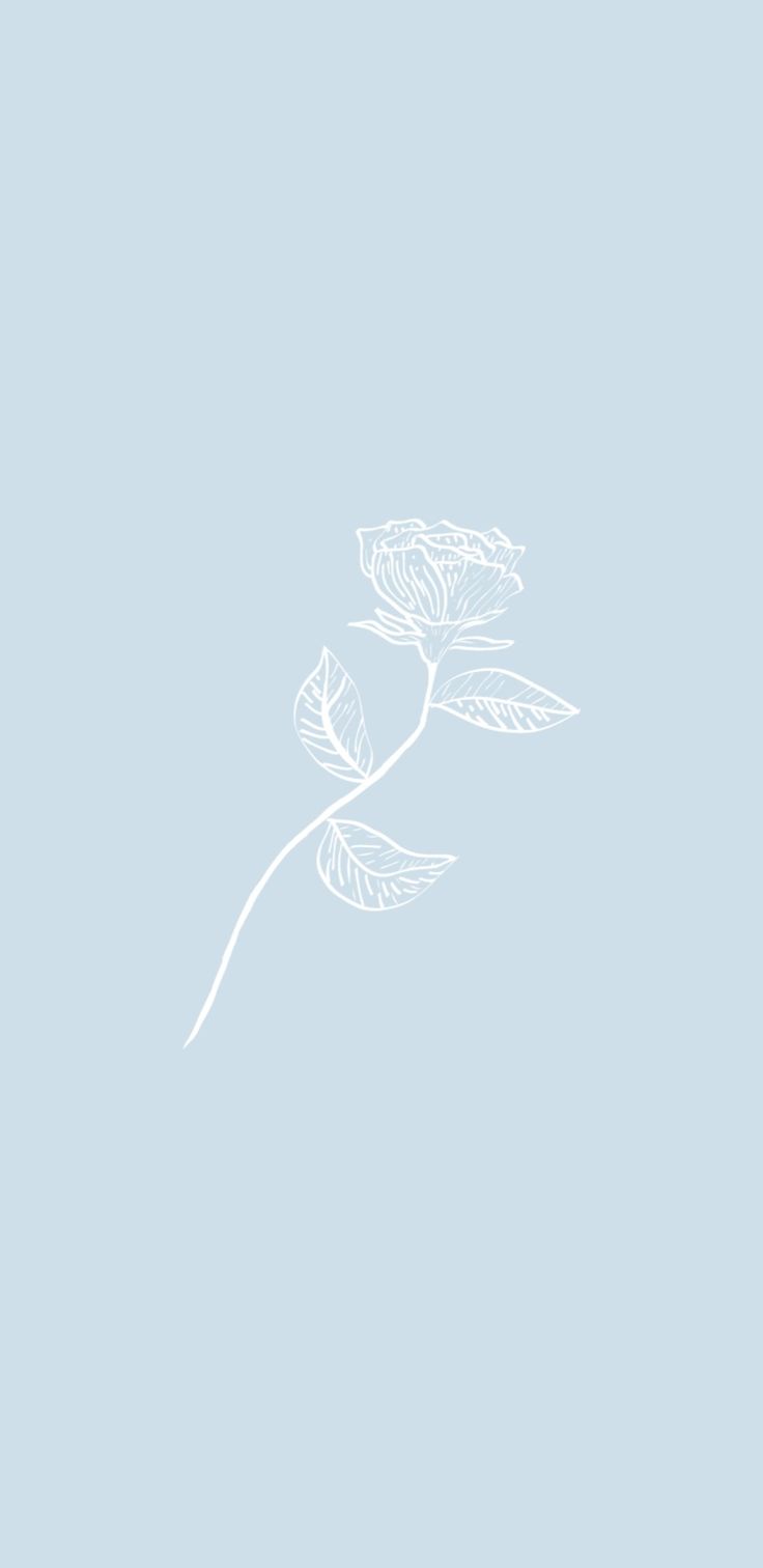 Wallpaper Blue Lineart Flower