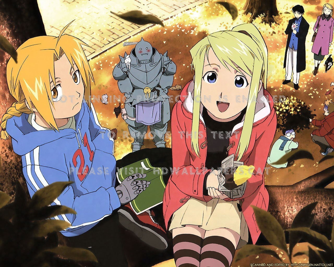 All For One Fma Edward Elric Winry Rockbell Metal Alchemist Brotherhood Wallpaper & Background Download