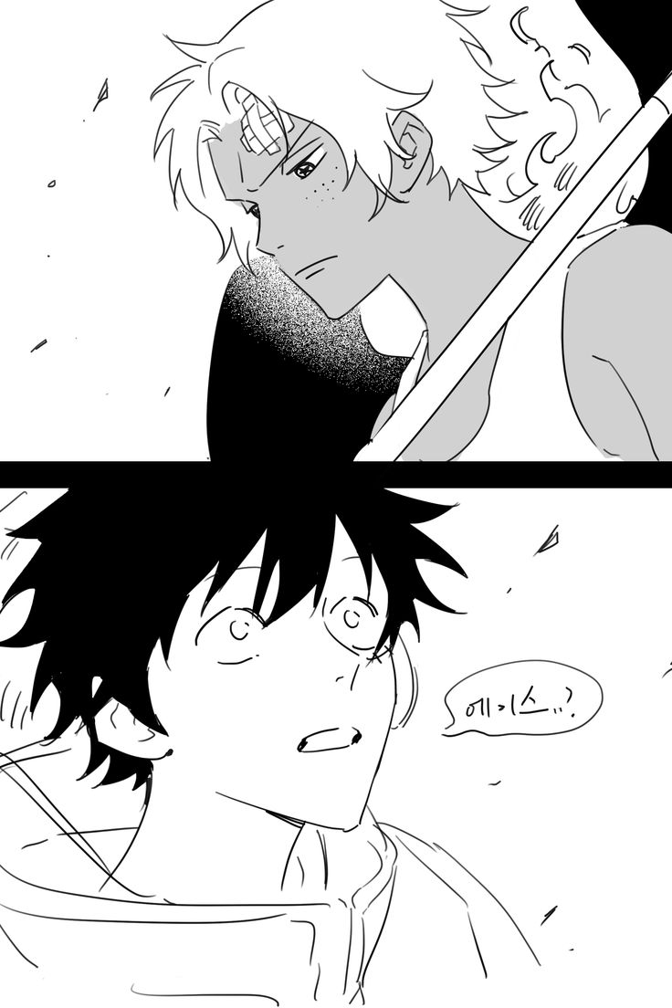 seraphim ace & luffy