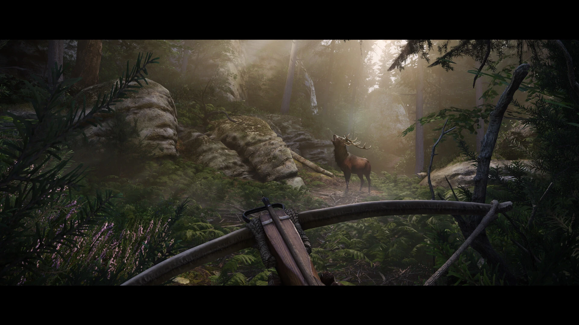 KCD2 Image 8 at Kingdom Come: Deliverance II Nexus and community