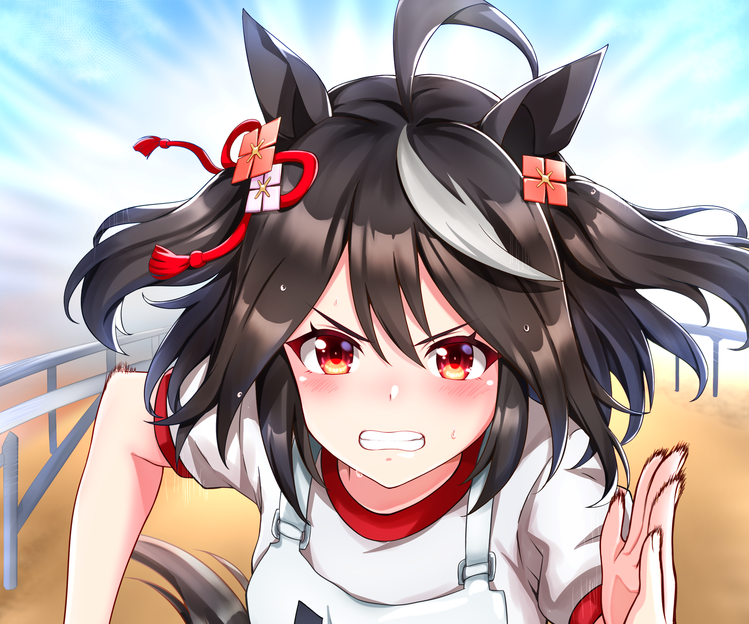 Kitasan Black Wallpaper