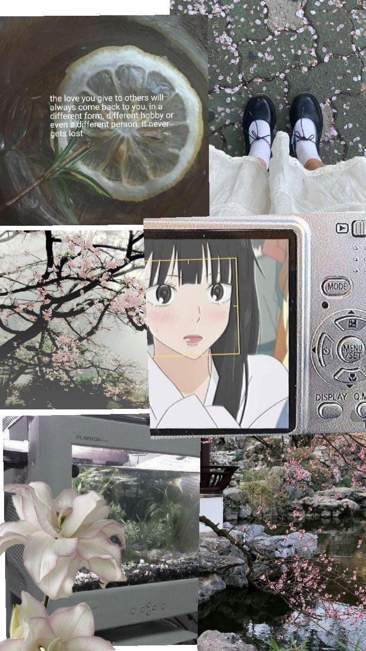 shoujo aesthetic. Dibujos de halloween faciles, Ideas de fondos de pantalla, Ilustración satírica