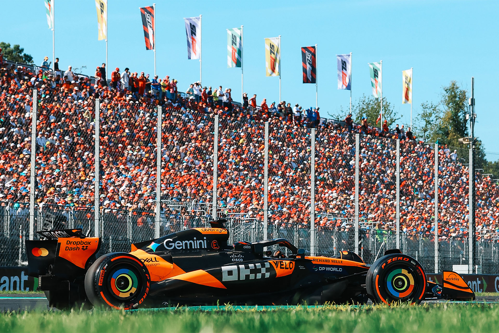 Exclusive Downloads: Get Fresh Wallpaper