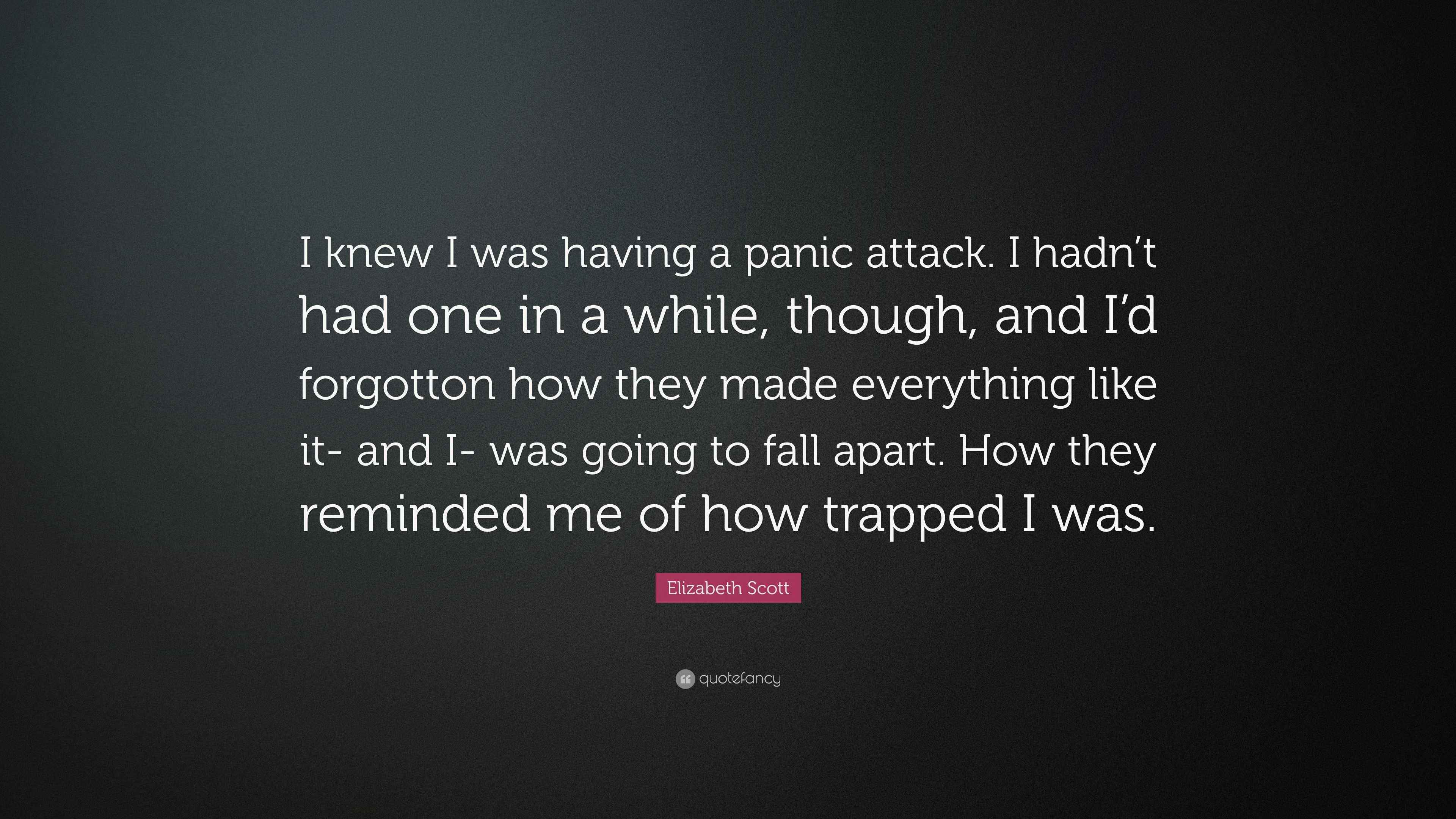 Elizabeth Scott Quote: “I knew I was having a panic attack. I hadn't had one in a while, though, and I'd forgotton how they made everything.”