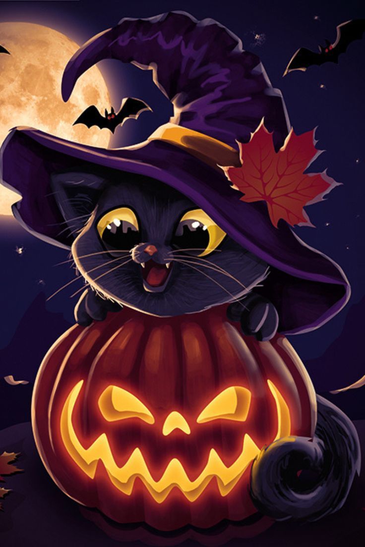 Best Halloween Cat Wallpaper For ios 16