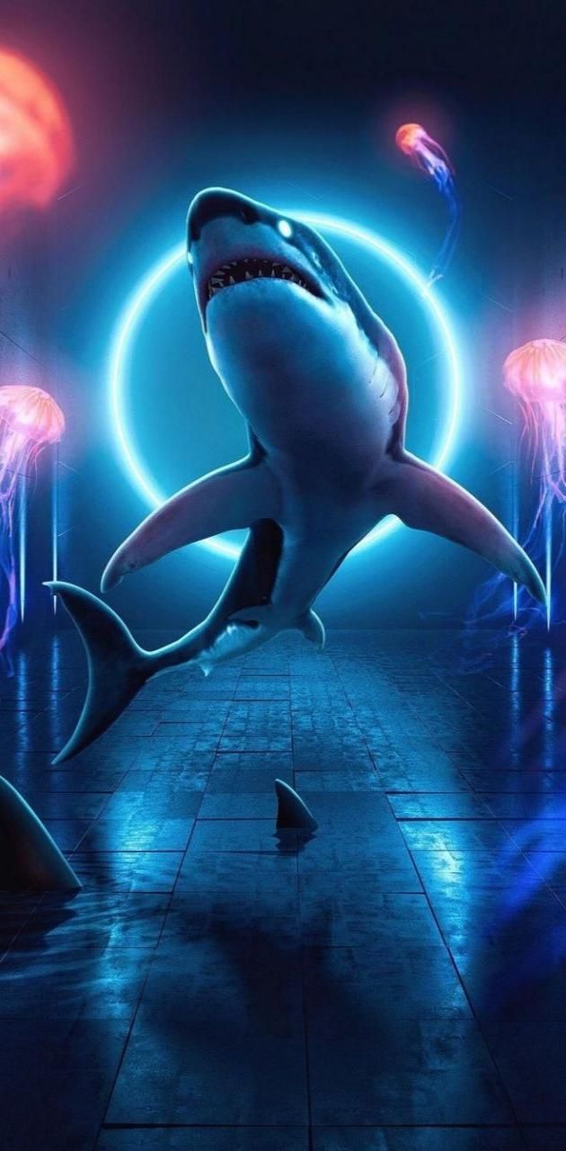 Shark wallpaper