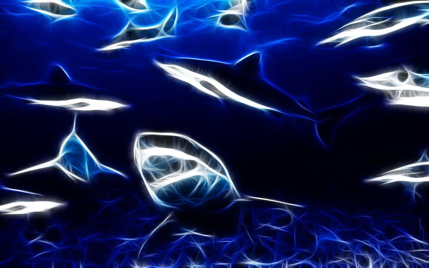 Download A Bold Looking Cool Shark Swimmingan Wallpaper