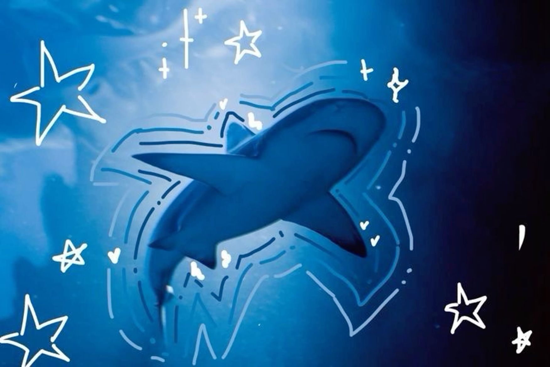 Sharks and Shark types. Cute shark, Shark picture, Shark background