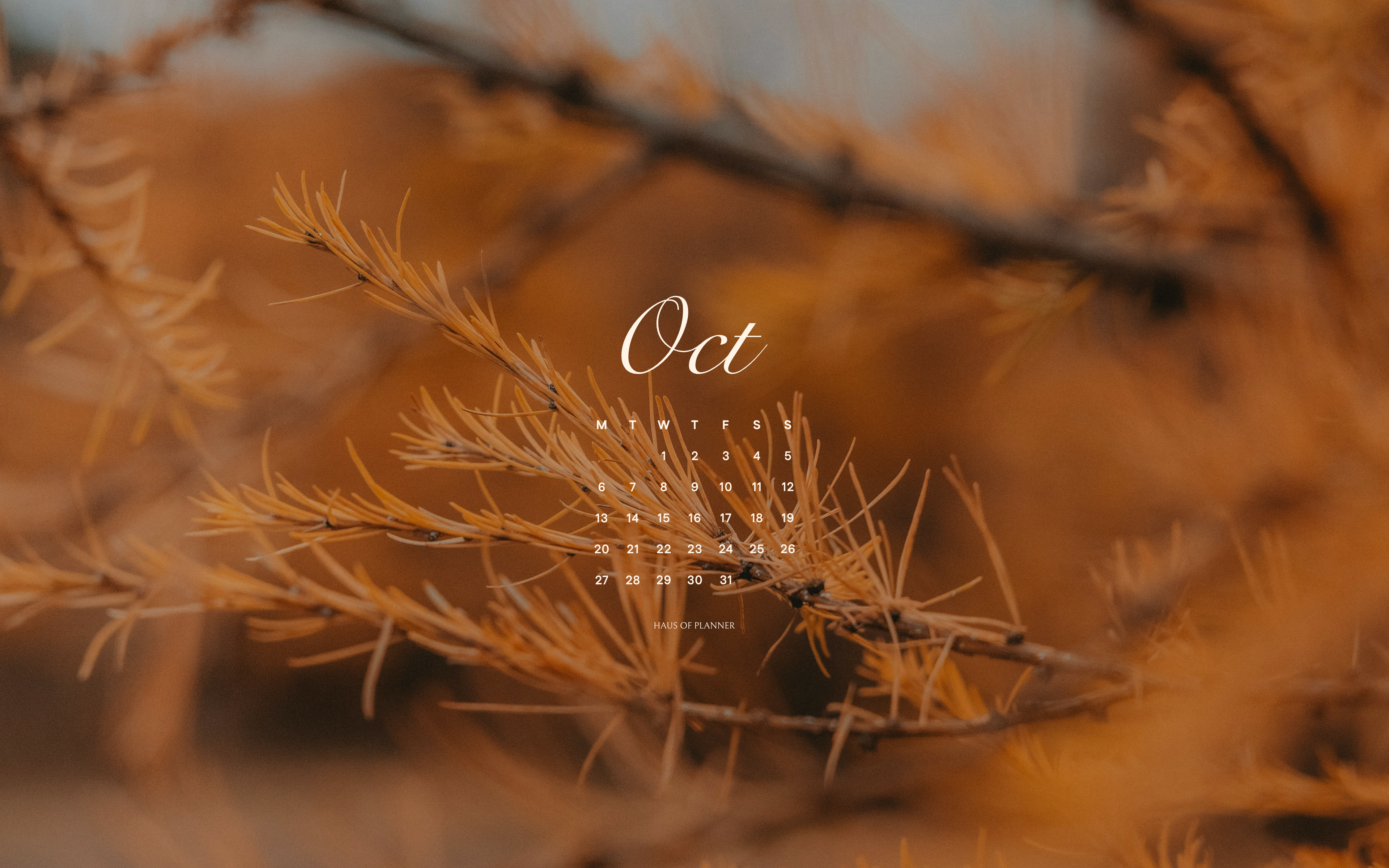 Free October 2025 Wallpaper